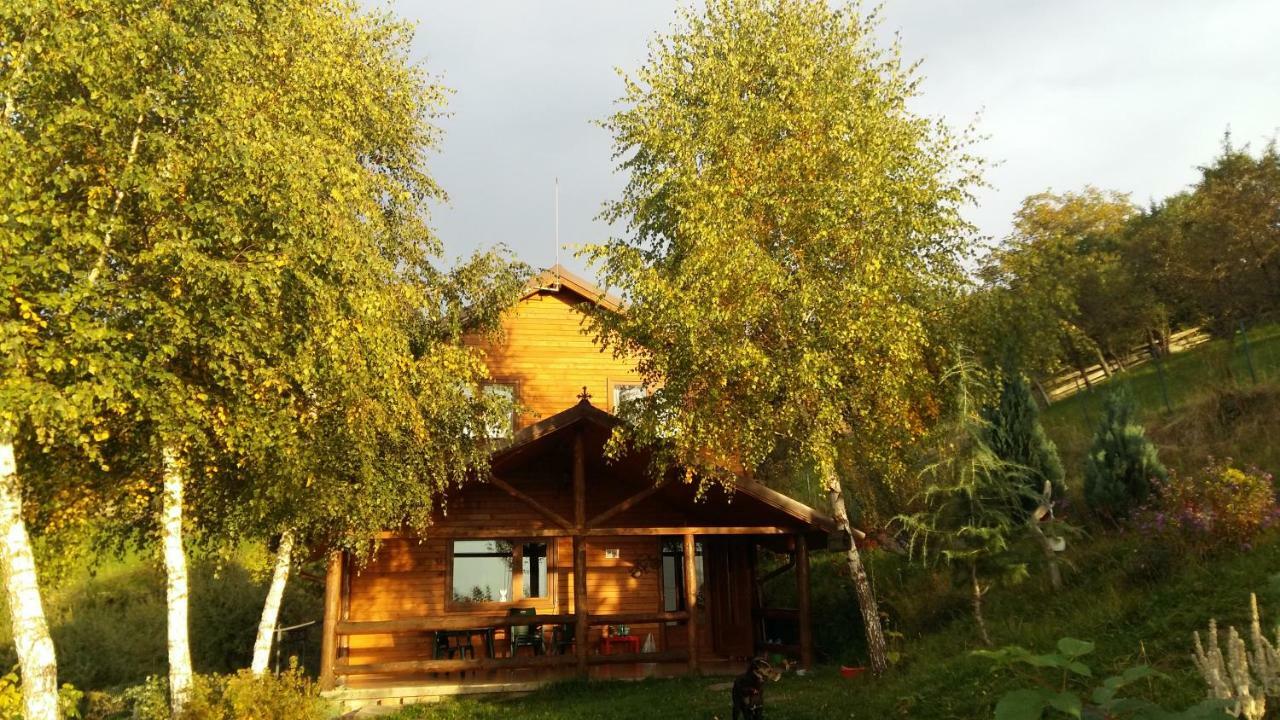 Вилла Casa Zara Бран Экстерьер фото